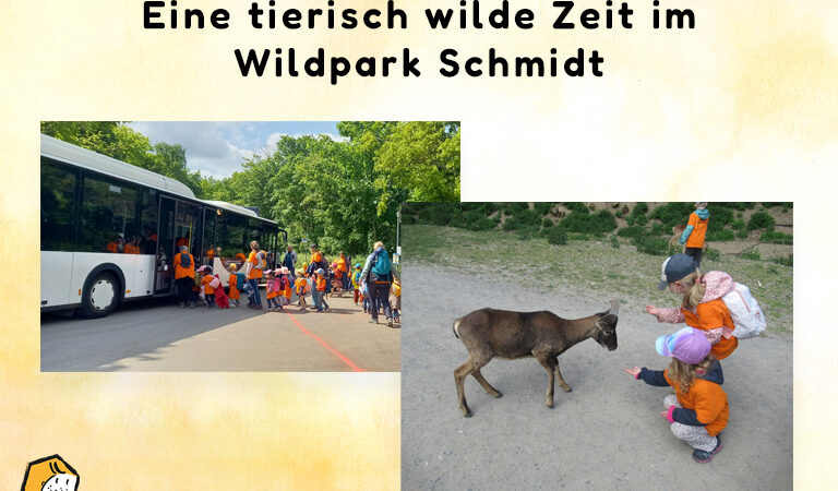 Eine tierisch wilde Zeit im Wildpark Schmidt für Arche Noah Kinder